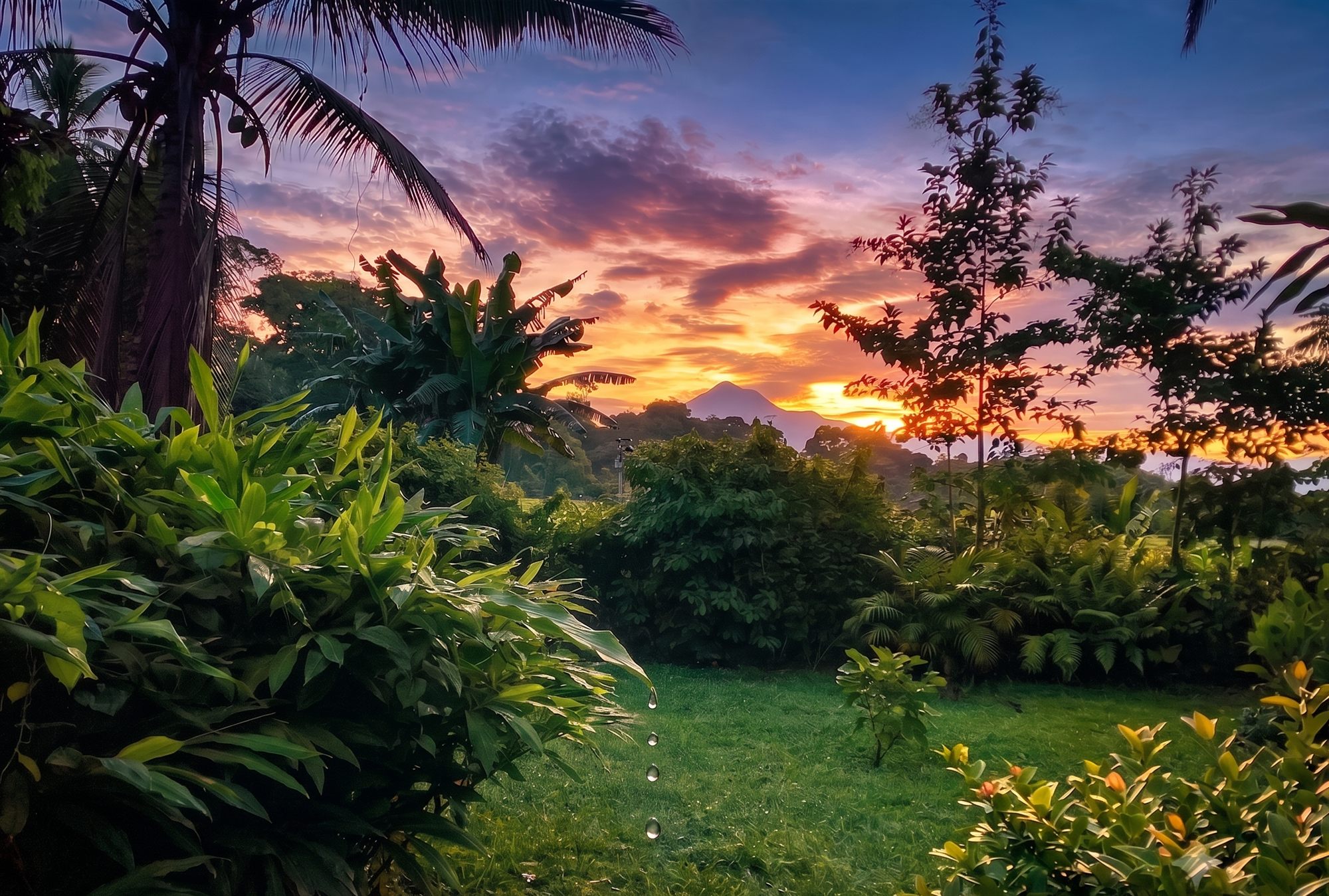 Atardecer encendido sobre la montaña, visto desde el jardín