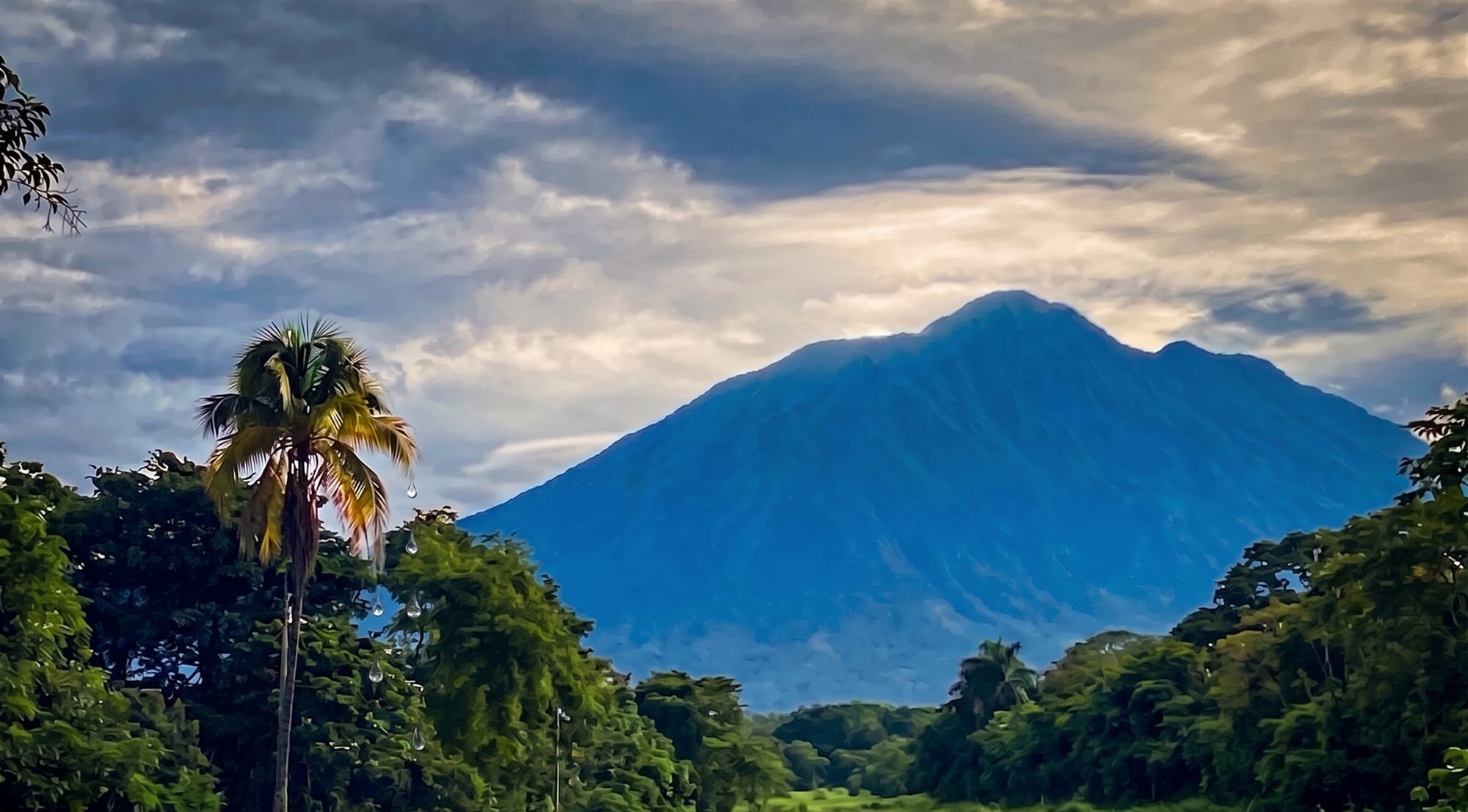 El volcán Tacaná enmarcado por la vegetación tropical
