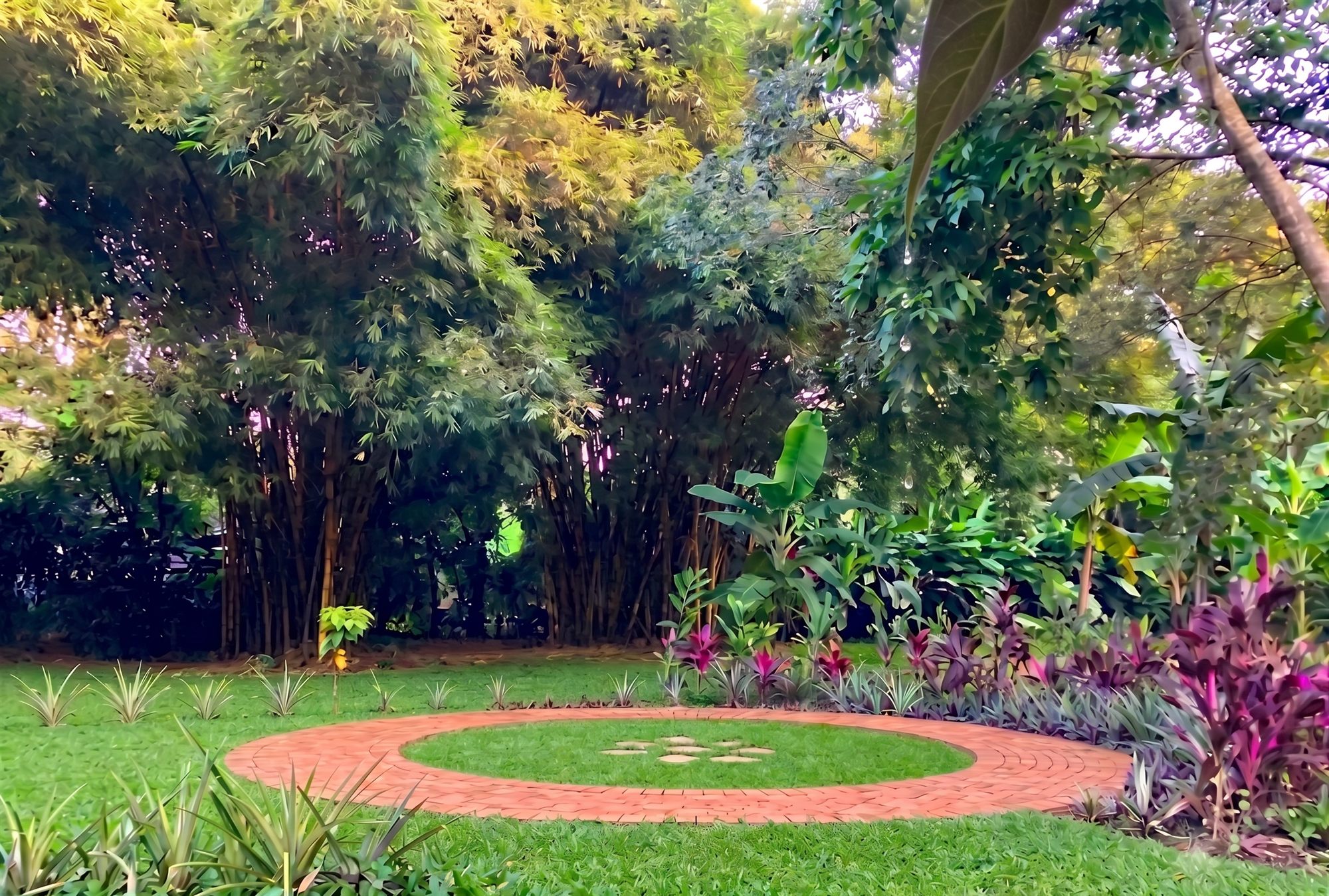 Redondel de piedra rodeado de bambú en el jardín